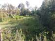 2 X 1/4 Acre Residential Land For Sale-Nkoroi,Ong'ata Rongai
