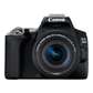 Canon EOS 250D Camera (18-55 IS STM KIT)
