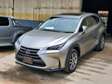 NX 300h