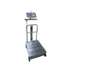 /Platform Weighing Scale/Heavy Duty Weighing Scale 500kg