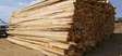 Tins timber supply