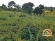 conservancy samburu east 100,000 acres at 100k per acre