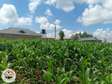 1,000 m² Residential Land at Runana