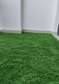 Elegant grass carpet.