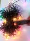 CHRISTMAS LIGHTS MULTICOLORED