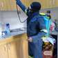 Cockroaches,Bed bugs,Flies,Ants,Rats & Termites Fumigation