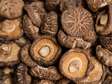 Dried Shiitake Mushroom-shiitake mushroom
