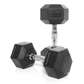 15KG Hex dumbbell pair fitness gym equipment