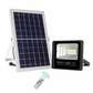 Neelux 100W Watts Quality Remote Controlled Solar Floodlight