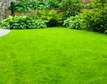 Bestcare Landscaping and Gardening Services Thika Nairobi