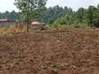 1/4 acre prime plots for sale- Thogoto kikuyu