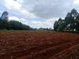 5 ac land for sale in Trans Nzoia
