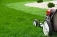 Lawn Mowing & landscaping services in Nakuru