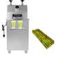 Sugarcane Cold Press Juicer Commercial Stainless Steel