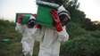 New bee suits in Kenya
