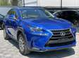 LEXUS NX200T BLUE(MKOPO/HIRE PURCHASE ACCEPTED)