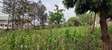 0.5 ac Land in Ridgeways