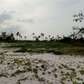 50 Acres Beachfront Land For Sale In Bofa,Malindi
