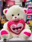 Teddy Bear/plush stuffed teddy bear/valentine day gifts
