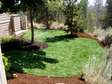 Looking For Vetted  & Trusted Garden Maintenance Specialists in Nairobi ? Free Quote & advice .