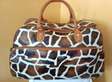 Leopard Print Travel Bag