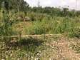 0.08 Ha plot in bungoma with a 5 bedroom house at foundation