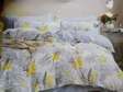 6 by 6 Floral Print Binded Duvets