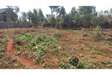0.25 ac Land in Kiambu Town