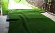 ELegant grass carpet