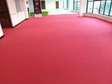 OFFICE RED DELTA CARPETS