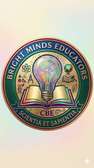 Bright Minds Educators Emblem Light Bulb Design