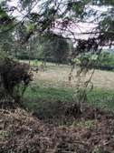 Land in Tigoni