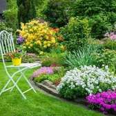Landscaping Services in Nairobi.Low Cost Garden Maintenance
