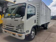 Isuzu NQR 81  Brand New