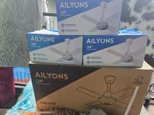 AILYONS 24" Ceiling Fan Powerful Quiet Motor