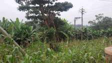 10 Acres Prime Land for Joint Venture in Thindigua Kiambu