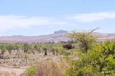 50*100 plots in Athi River
