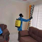 Fumigation and Pest Control Services Muthaiga