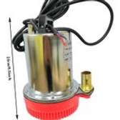 Submersible Electric Solar Water Pump 260W /24V