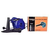 Electric Dust Blower