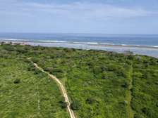 Land at Vipingo