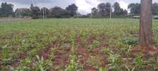 0.5 ac Land in Redhill