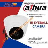 IR Eyeball camera