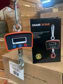 500Kgs- Mini Industrial Crane Scale for Warehouse