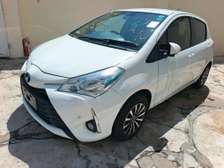 Toyota vitz  pearl