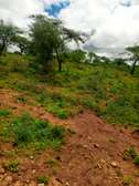 40 Acres Agricultural Land Is For Sale In Masinga Kithyoko