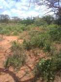 163 Acres Touching Makindu-Wote Road Is Available For Sale