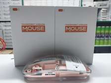 Transparent Wireless PC Mouse