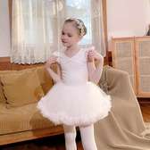 Ballet dance bodysuit &  tutu skirt