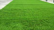 Grass carpets (21_21)